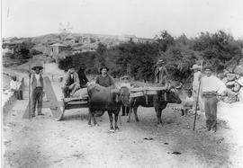 Carro de bois na estrada da Calheta, em Porto Santo