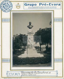 Monumento de homenagem ao Dr. Barahona, no Jardim Diana