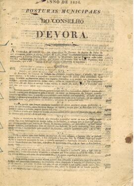 Posturas Municipais de Évora, século XIX