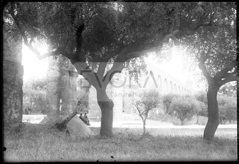 Original Objeto digital not accessible