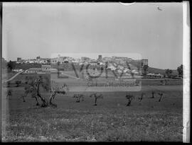 Vista geral de Avis