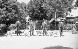 Grupo de homens com cães no Jardim Público