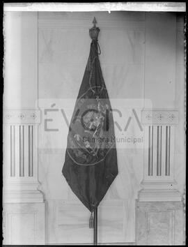 Estandarte da Câmara Municipal (fechado)