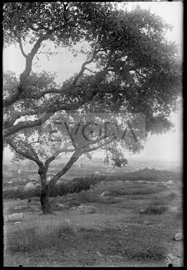 Paisagem e vista de Évora