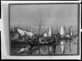 Barcos