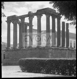 Templo visto do Jardim Diana