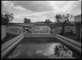 Pintura mural de Charrua na piscina de Alberto Silva