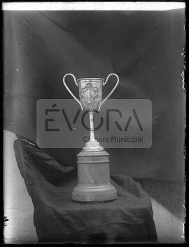 Taça ganha em Borba
