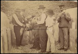 Grupo de homens a vacinar um porco